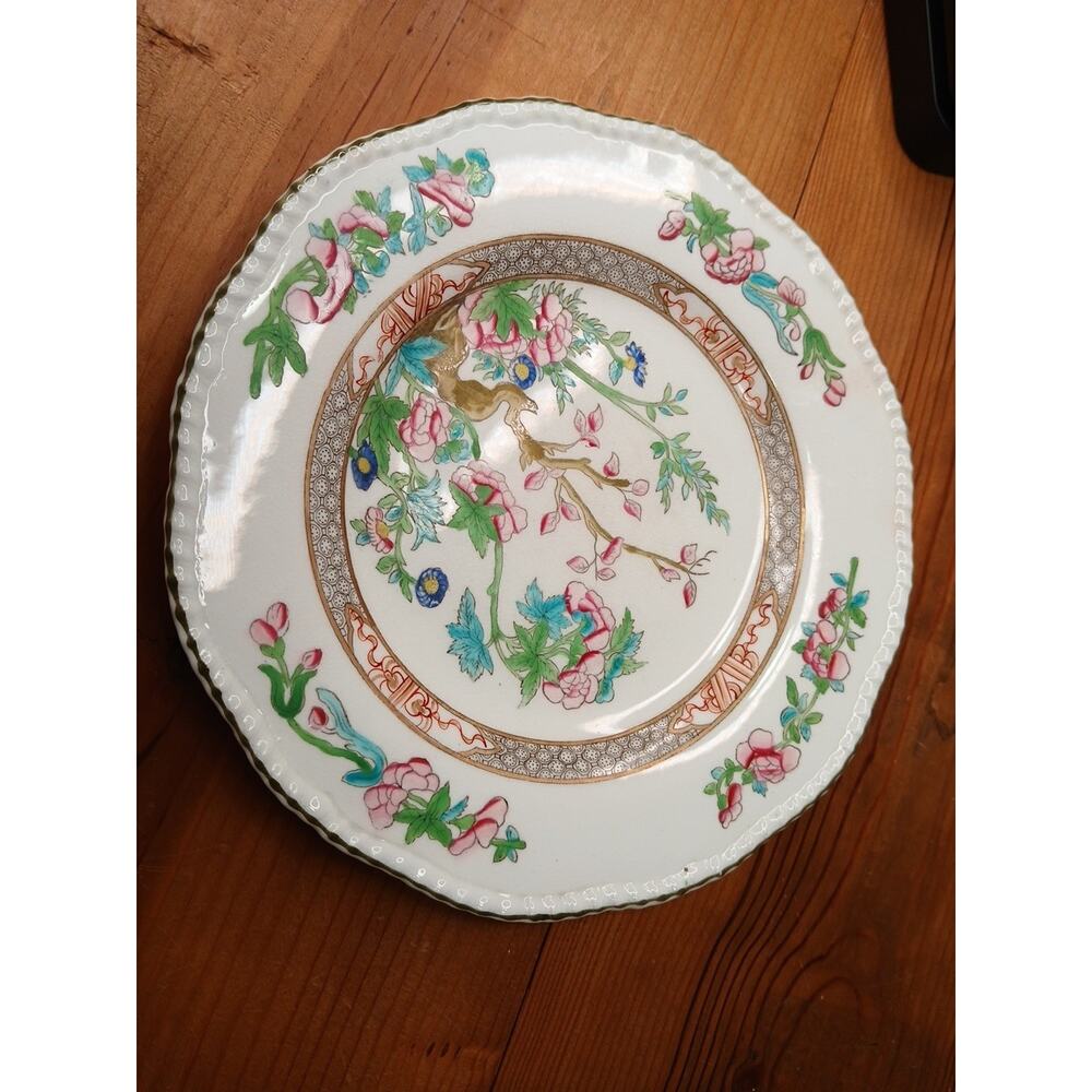 Coalport Indian Tree 8.75” Luncheon Plate – Scalloped Edge England #15